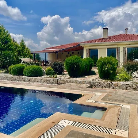 Βίλα Grapes Φετιγιέ