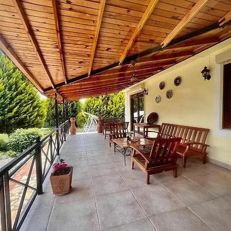 Grapes Fethiye