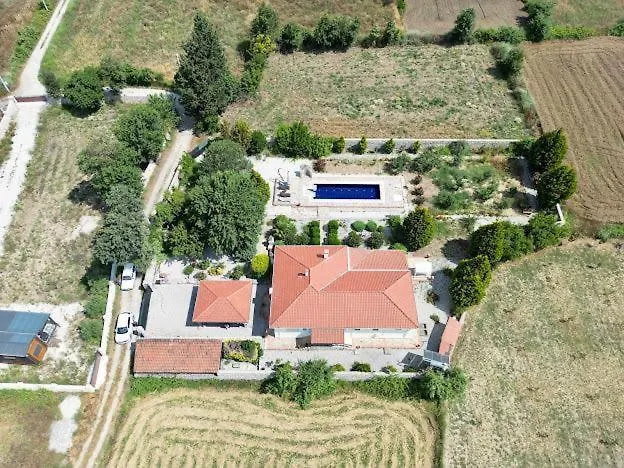 Villa Grapes